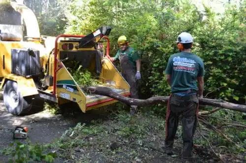 tree services Shellsburg